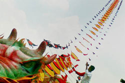 Pangandaran West Java Kite Festival 2010