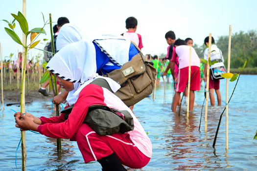 Aski Tanam Pohon, Rehabilitasi dan Edukasi Wisata 
