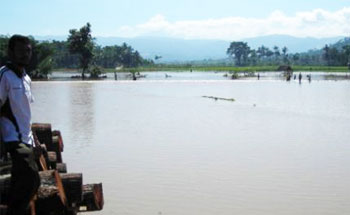 BBWS Citanduy Diminta Perbaiki Saluran Pengendali Banjir Padaherang