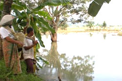 jebol jebol