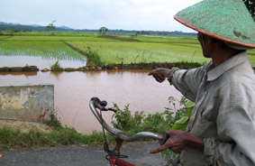 Egi Tenggelam di Kubangan