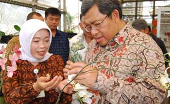 Gubernur, Pemekaran di Jabar Mendesak