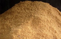 Gula Semut Belum Mampu Penuhi Permintaan Pasar