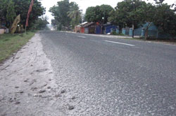 Jalan di Hutan Emplak Banyak yang Amblas