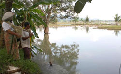 Kawasan Banjir Ciamis Mulai Rawan Air Bersih