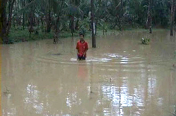 Korban Banjir Cimerak Masih Mengungsi