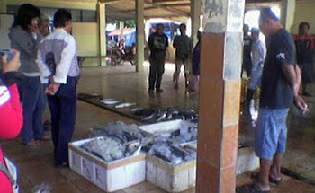 Nelayan Cilacap Harus Jual Ikan di TPI Pangandaran