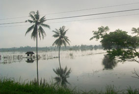 Ratusan Petani Terancam Gagal Tanam
