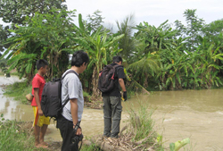 Sawah di Kalipucang Terendam