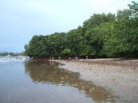 Cagar Alam Pananjung