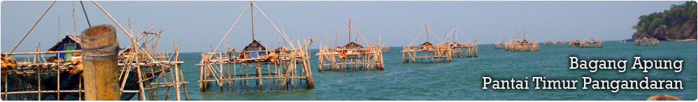 Pangandaran,home