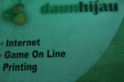 daunhijau