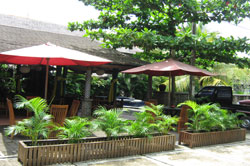 Nyiur Indah 1