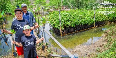 Konsevasi Mangrove