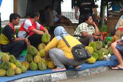 Berburu Durian Di Pangandaran