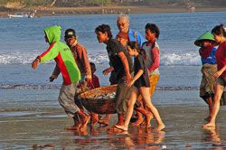 Sensasi Menarik Jaring Pukat Di Pantai Pangandaran