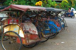 Wisata Desa menggunakan Becak