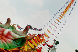  Pangandaran West Java Kite Festival 2010