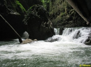 Green Canyon : 50 Menit Memukau dengan Segala Keunikannya!