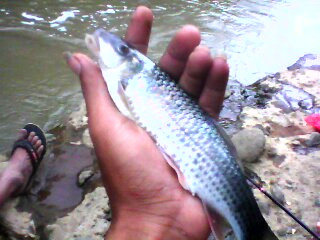 Menyusuri Sungai dan Mancing di Pangandaran