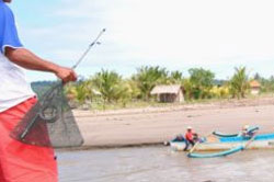 Muara Cileutik Nu Tinggal Saeutik