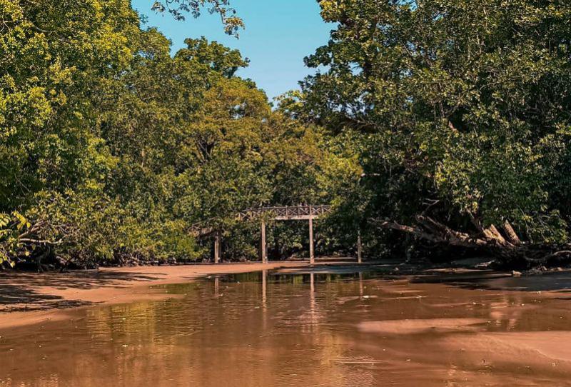 4 Fakta Taman Wisata Alam dan Cagar Alam Pangandaran, Rumah bagi Beragam Flora dan Fauna