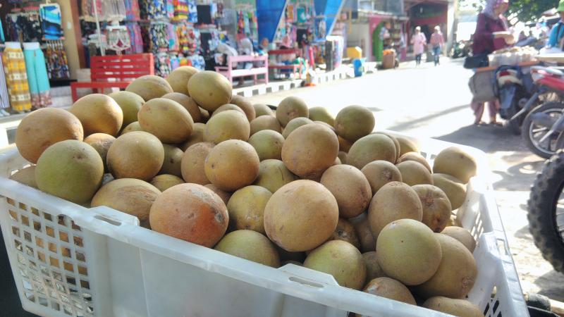 Buah Sawo, Si Manis dari Pangandaran