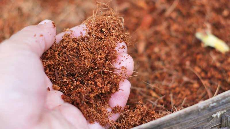 Keren! Produk Cocopeat Asal Petani Milenial di Pangandaran Mendunia, Tembus Pasar Jepang!