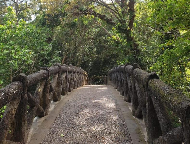 Menelusuri Kenangan di Jembatan Cinta di TWA Cagar Alam Pangandaran, Lokasi Pengambilan Gambar Film Nasional