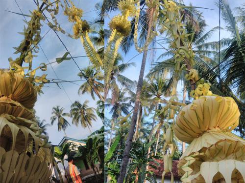 Umbul-umbul Janur yang Sudah Jarang Terlihat di Pangandaran