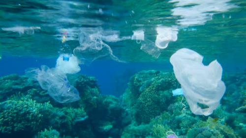 Wajib Diatasi, Inilah 7 Ancaman Serius Akibat Sampah Plastik di Laut