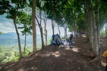 Yang Viral Bukit Panenjoan di Pangandaran