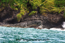 Jelajahi Pantai Pangandaran, Melihat Lebih Dekat Cagar Alam Dari Atas Perahu