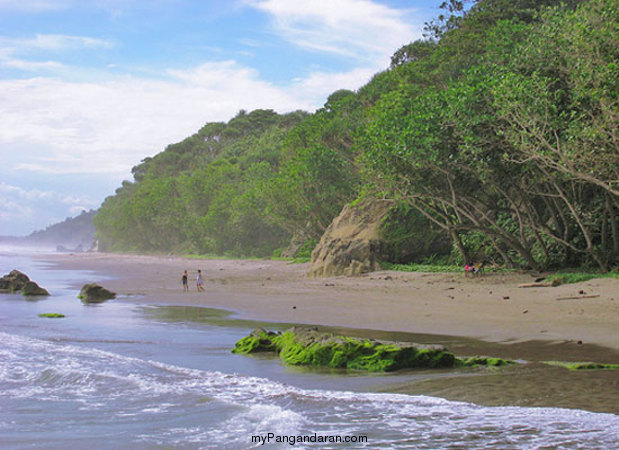 Intip Panorama Alam Pantai Karang Nini