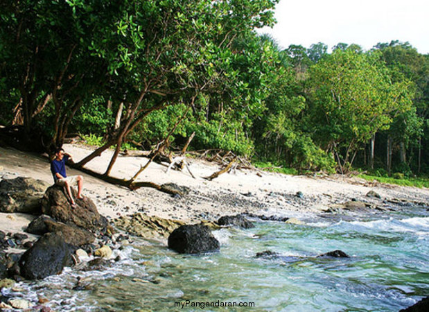 Intip Panorama Alam Pantai Karang Nini