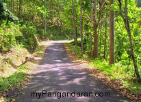 Intip Panorama Alam Pantai Karang Nini