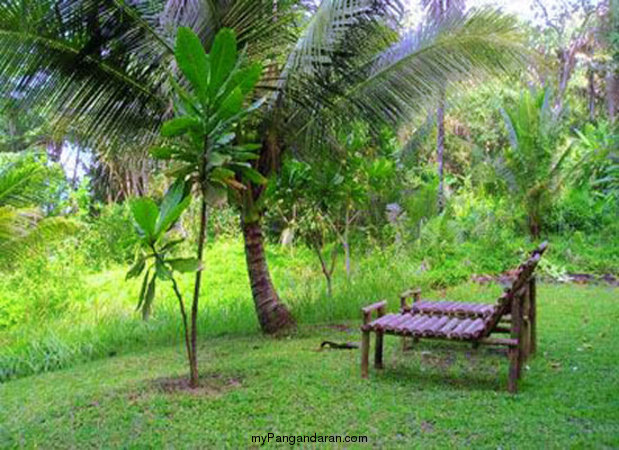 Intip Panorama Alam Pantai Karang Nini