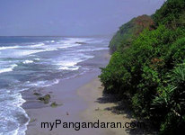 Intip Panorama Alam Pantai Karang Nini