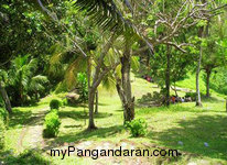 Intip Panorama Alam Pantai Karang Nini