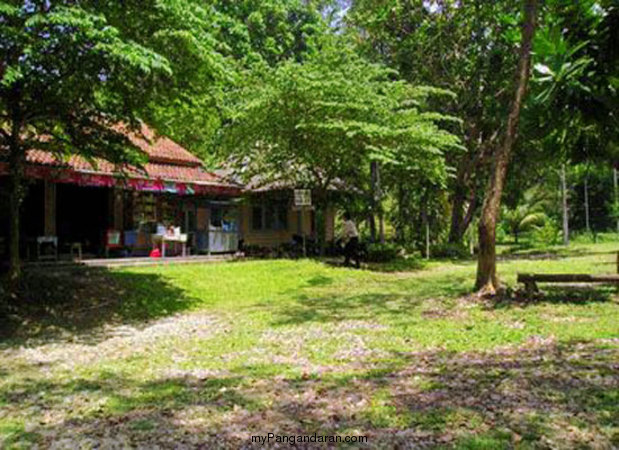 Intip Panorama Alam Pantai Karang Nini