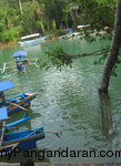 Berenang Di Dermaga Green Canyon