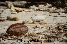 Pasir Putih Pangandaran dalam Lensa