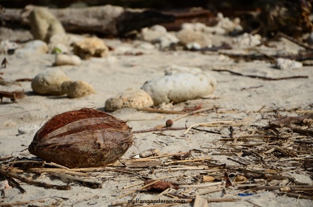 Pasir Putih Pangandaran dalam Lensa