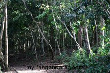 Menikmati Saat Sepi di Pantai Pangandaran