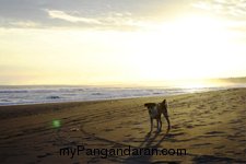 Menikmati Saat Sepi di Pantai Pangandaran