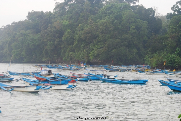 Perahu Nelayan Merana, Tertambat di Pinggir Cagar Alam