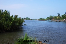 Melihat Bakul Udang di Sungai Cikidang