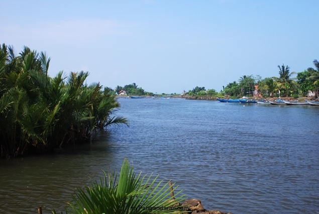 Melihat Bakul Udang di Sungai Cikidang