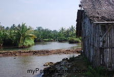 Melihat Bakul Udang di Sungai Cikidang