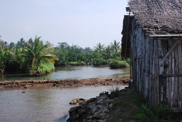 Melihat Bakul Udang di Sungai Cikidang